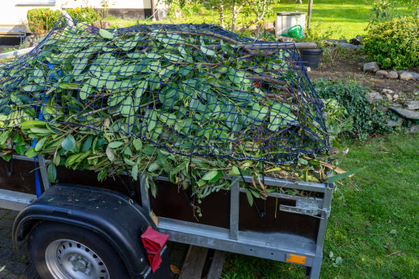 Professional Junk Removal  in Milroy, PA